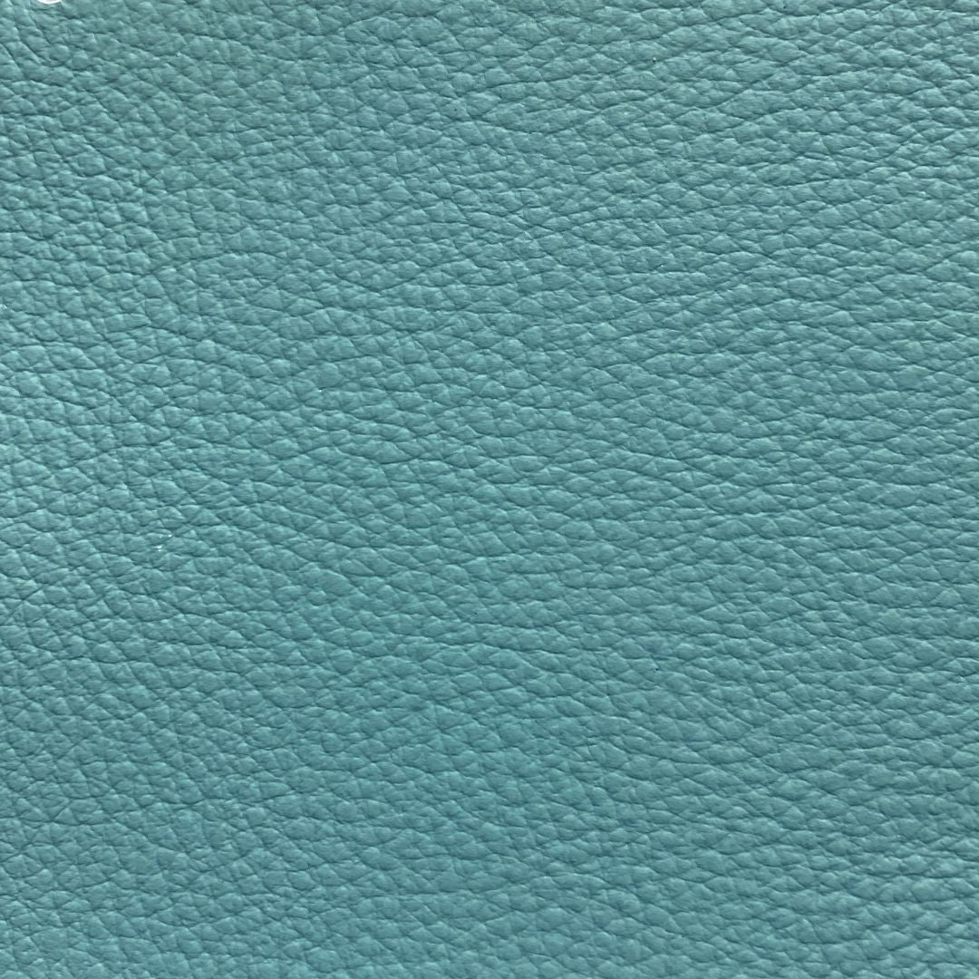 Funda pasaporte ecuestre FEI