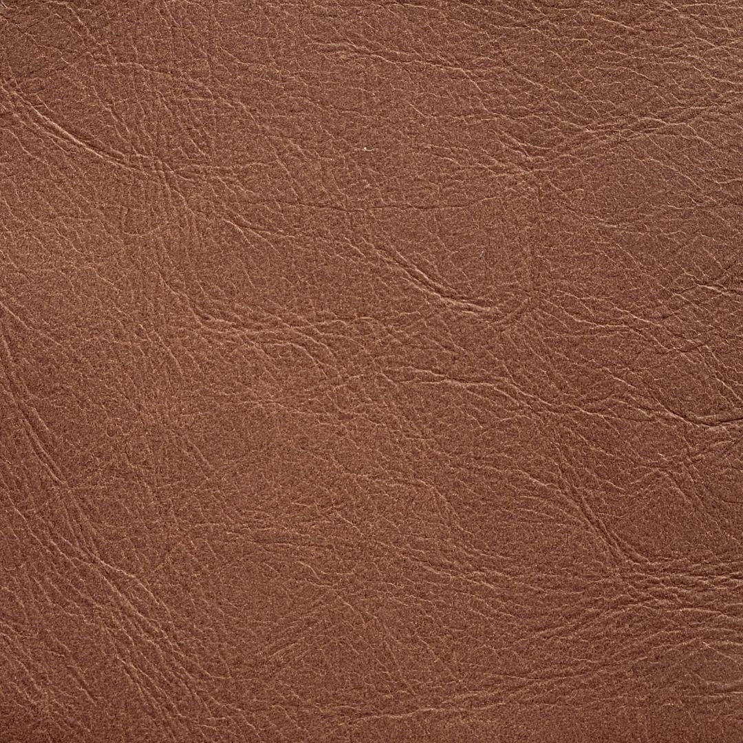 Funda pasaporte ecuestre PRE