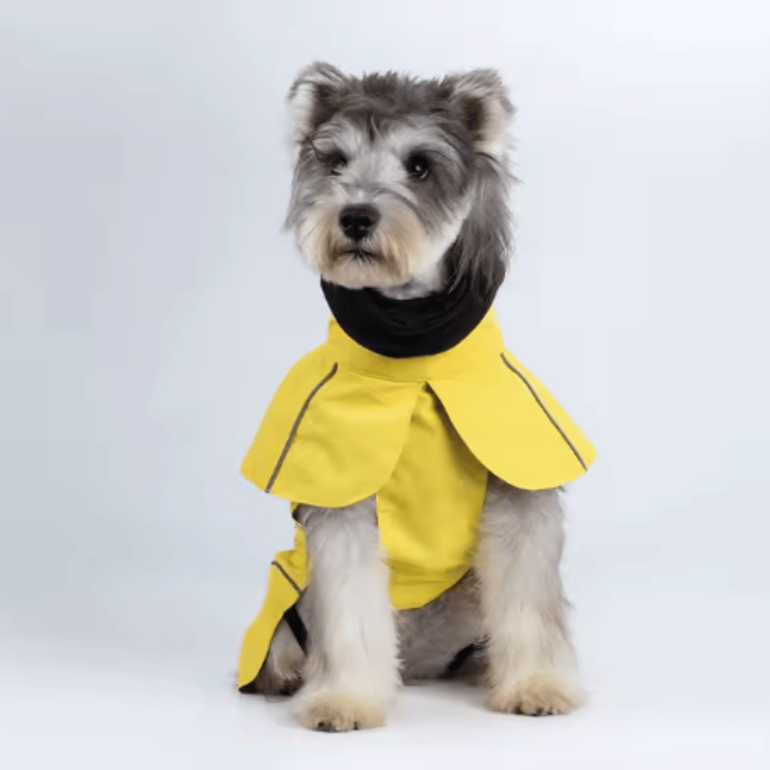 Impermeable