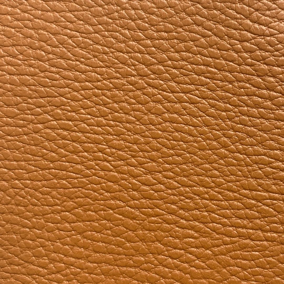 Funda pasaporte ecuestre FEI