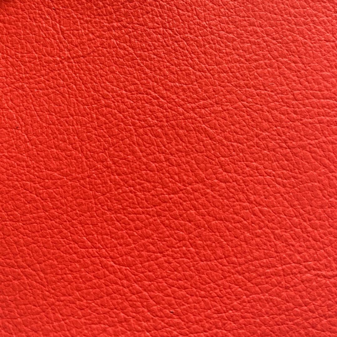 Funda pasaporte ecuestre FEI