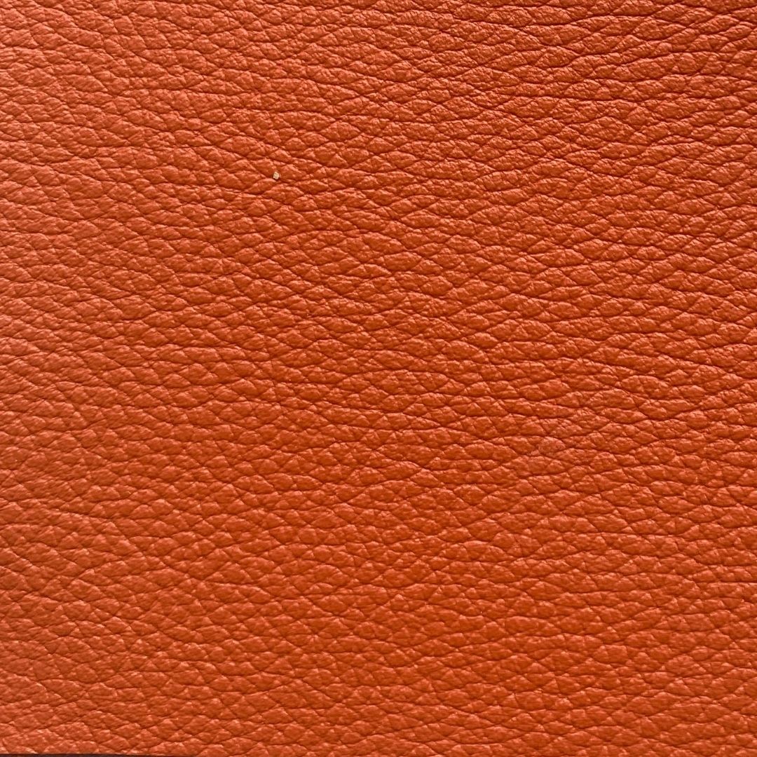 Funda pasaporte ecuestre PRE