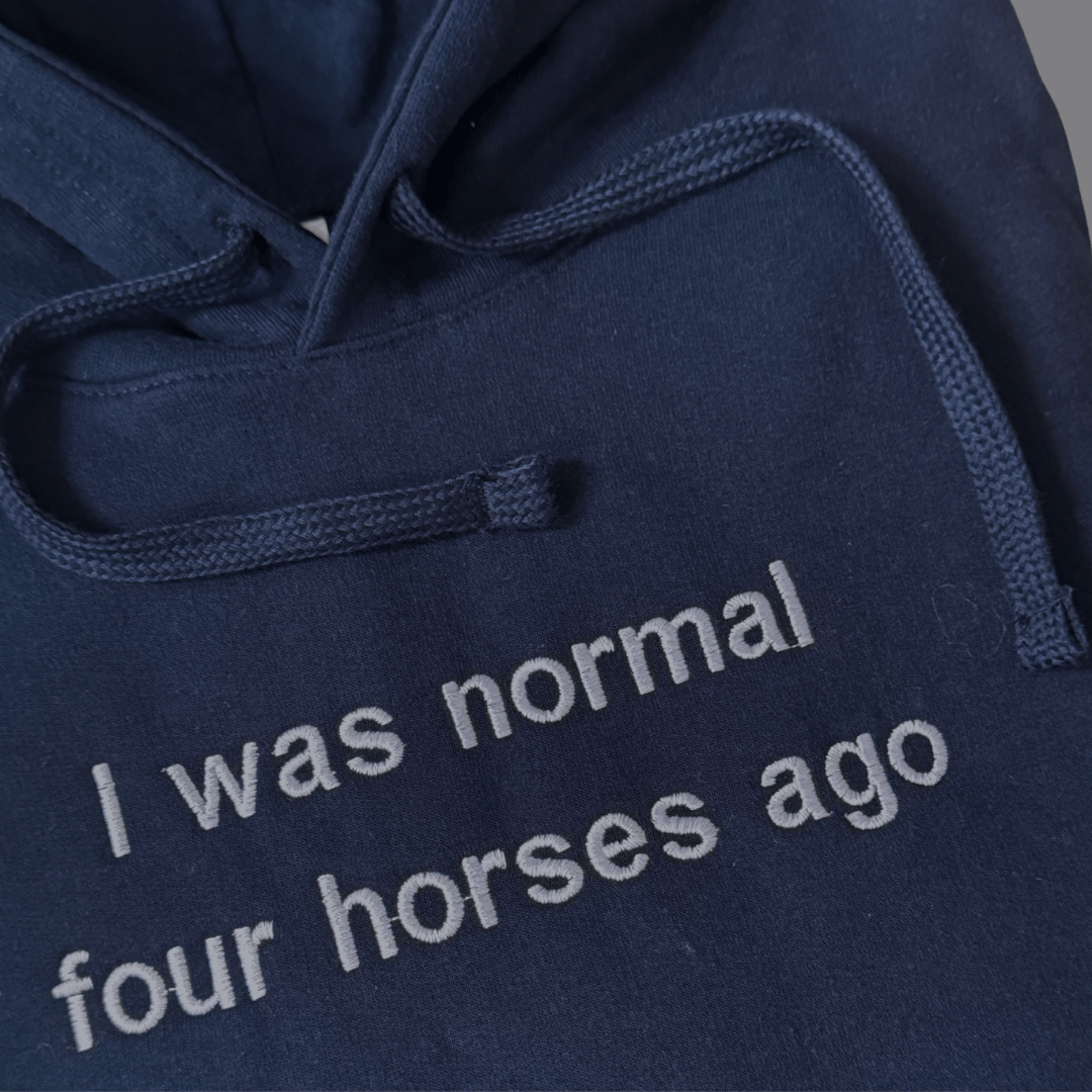 Hoodie I was normal