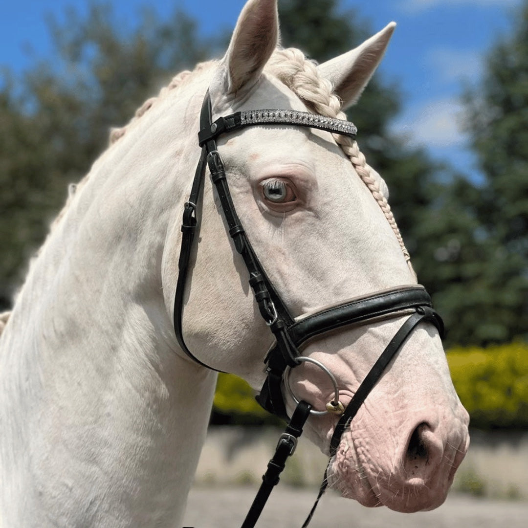 Browbands