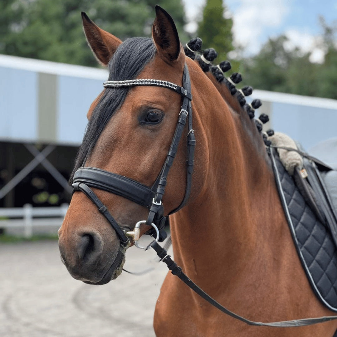 Browbands