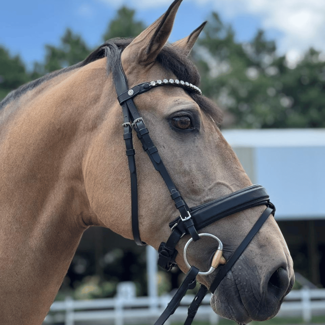 Browbands