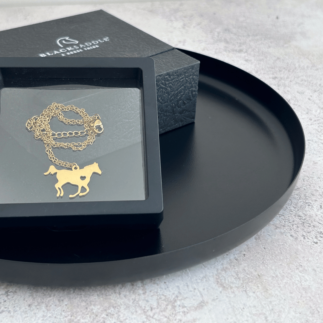 Collar de acero inoxidable