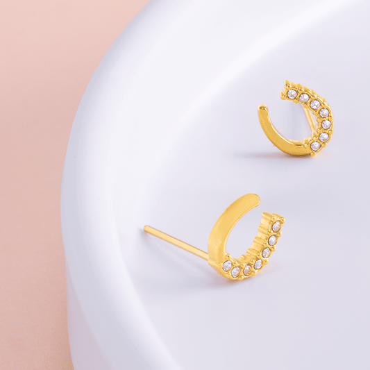 Aretes ecuestres acero inoxidable