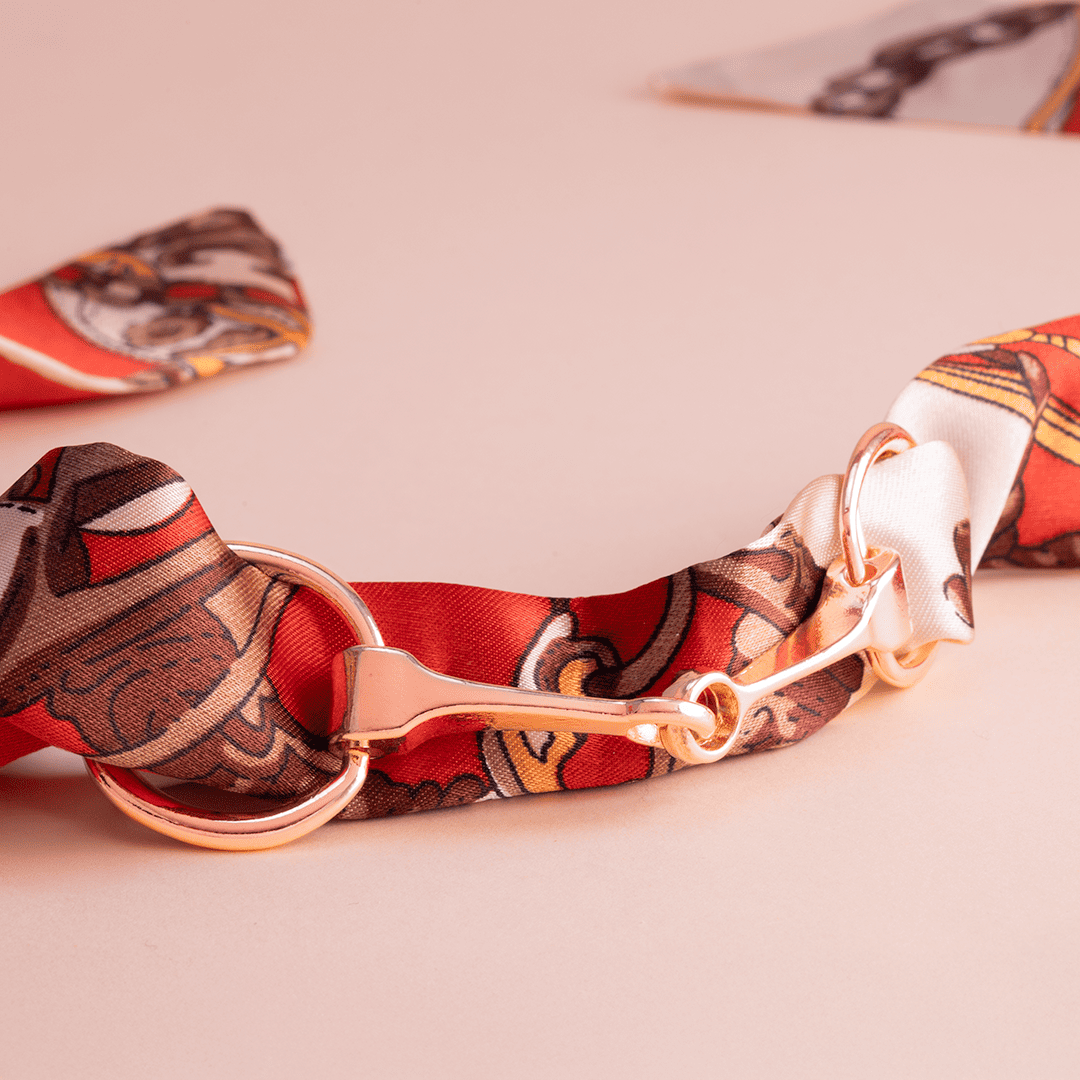 Accesorio para mascadas