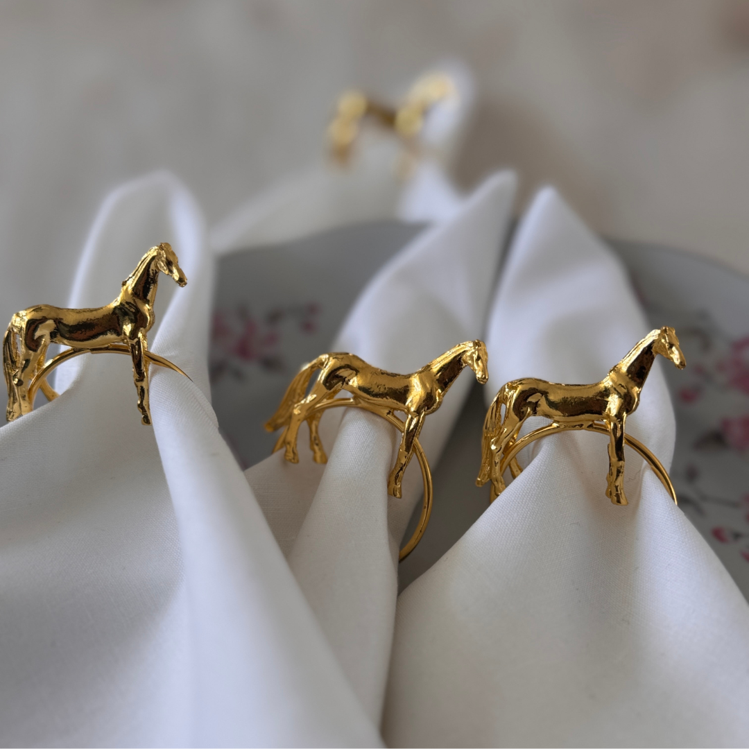 Set de aros para servilleta Emma