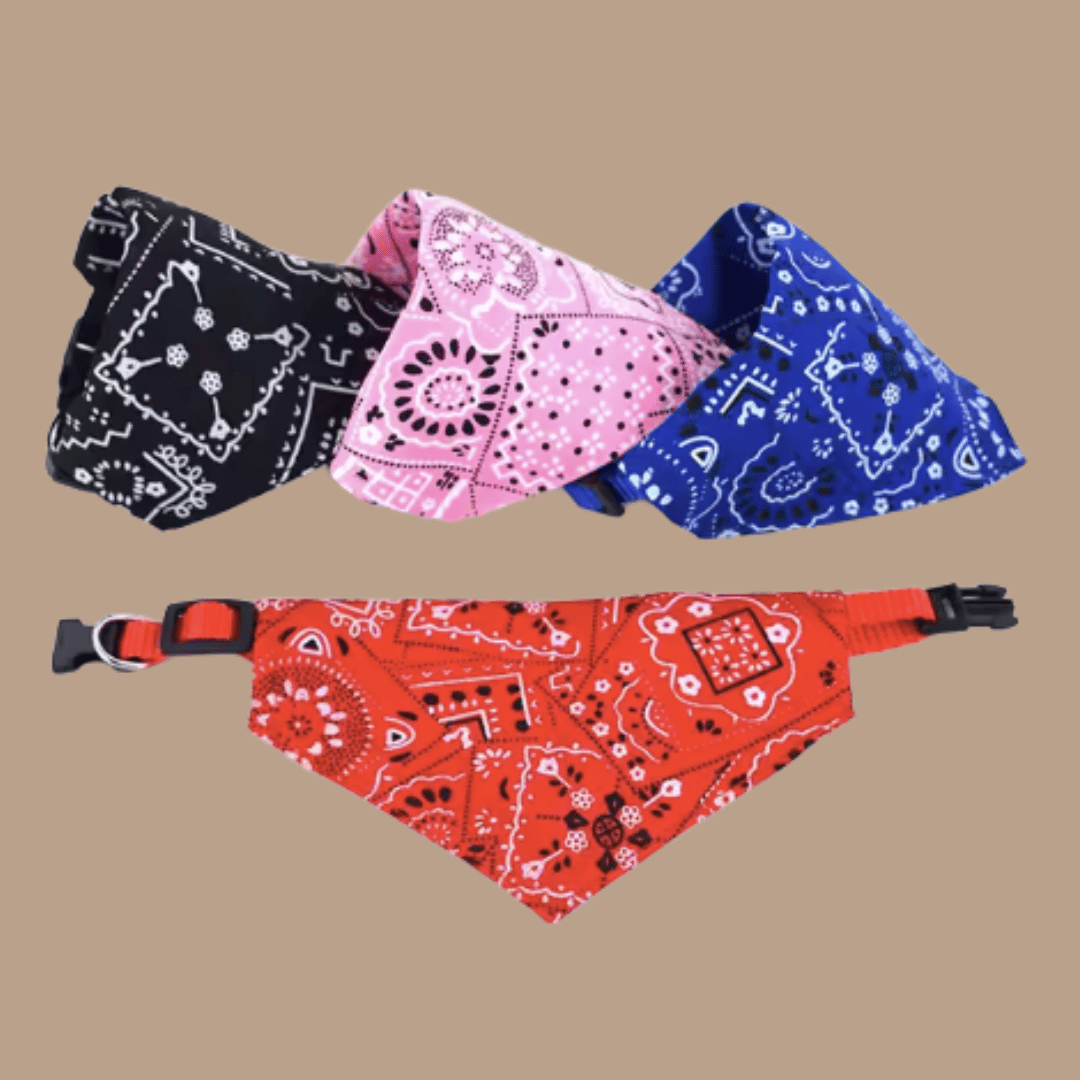 Ajustable, variedad de colores