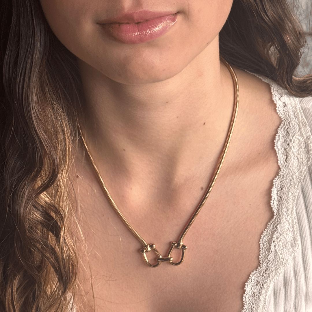 Joyeria ecuestre acero inoxidable