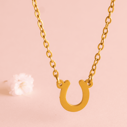 Collar de herradura acero inoxidable