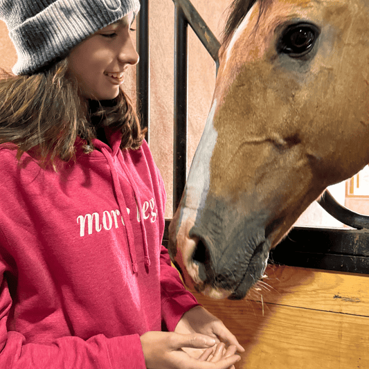 Sudadera ecuestre