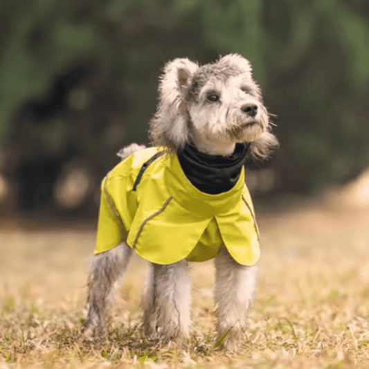 Impermeable
