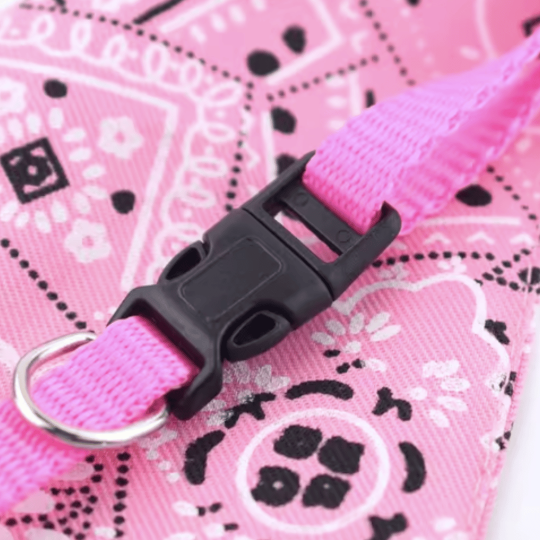 Ajustables en variedad de colores