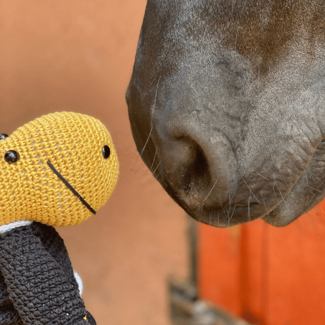 Caballo de crochet