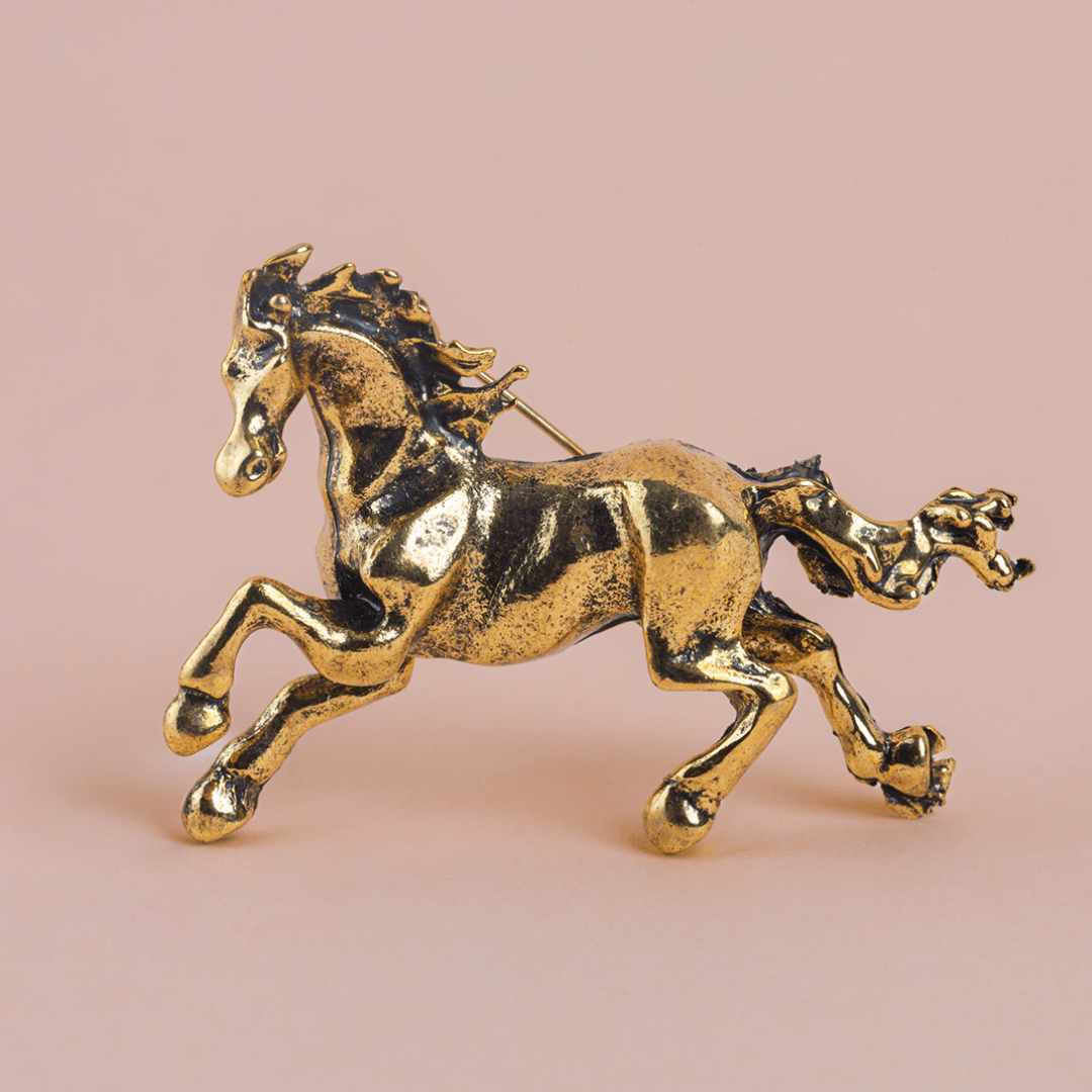 Accesorios ecuestres broches
