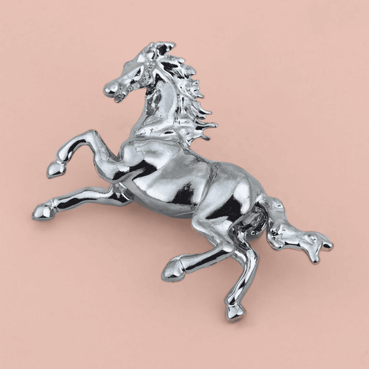 Accesorios ecuestres broches