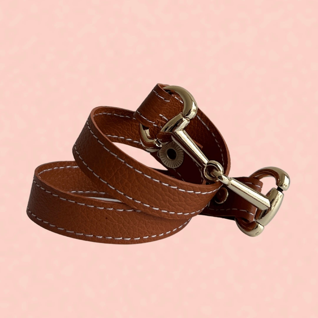 Diseño herraje con bocado dorado