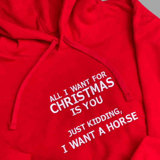 Hoodie All I want for Christmas