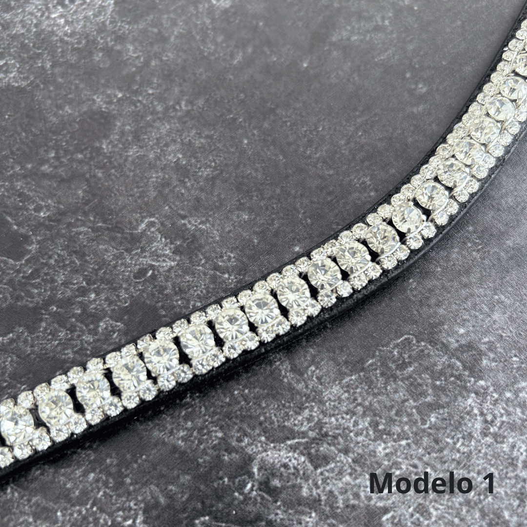 Accesorios para caballo