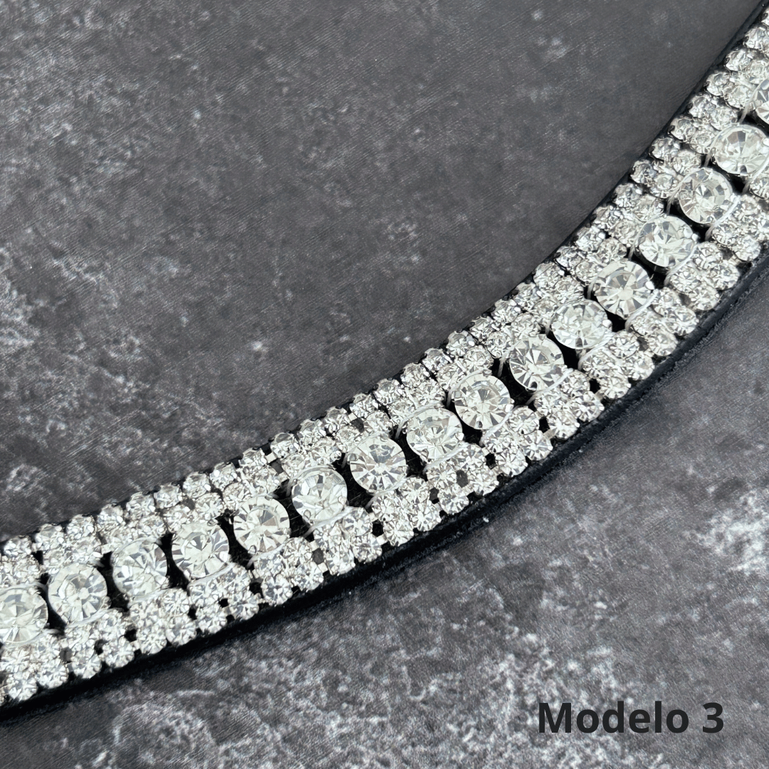 Accesorios para caballo